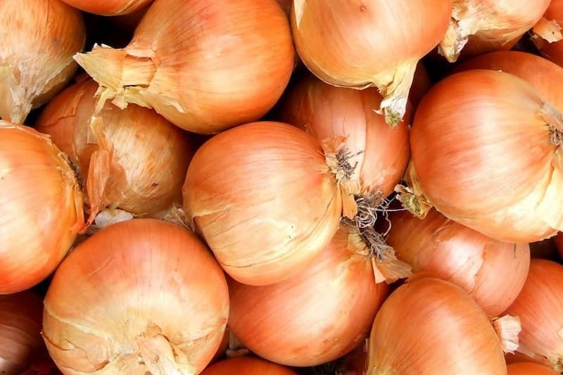 تصویر 2 از پیاز انباری مقاوم و قابل نگهداری طولانی برای آشپزی مطمئن